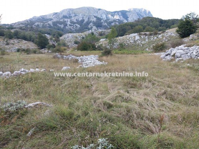 For sale, estate 20.000m2, Lovcen, Cetinje