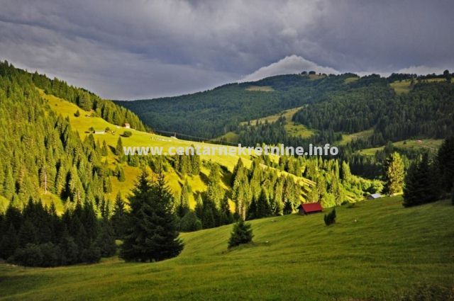 Prodaja, imanje 18.878m2, Patkovica, Andrijevica