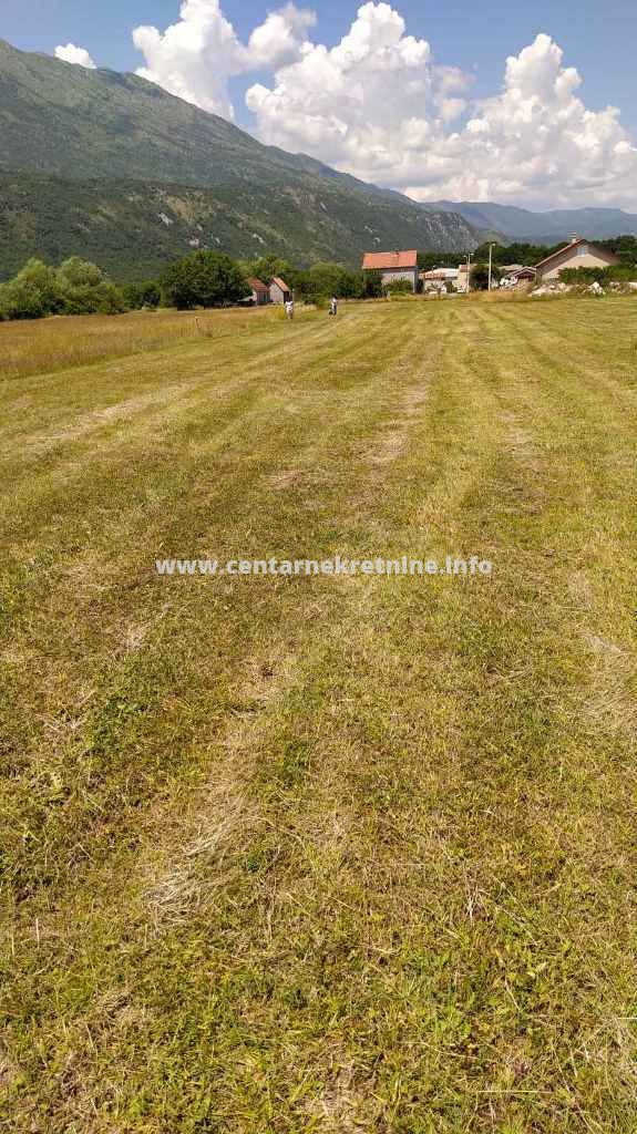 For sale, plot of land 5.000m2, Glavica, Danilovgrad