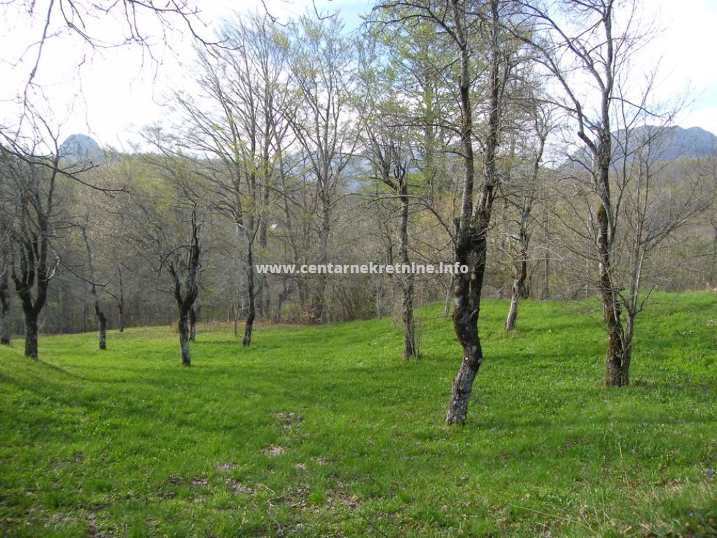 For sale, property 23.620m2, Crkvina, Kolasin