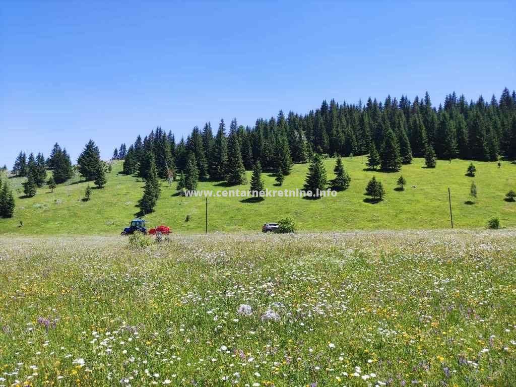 Property on Žabljak