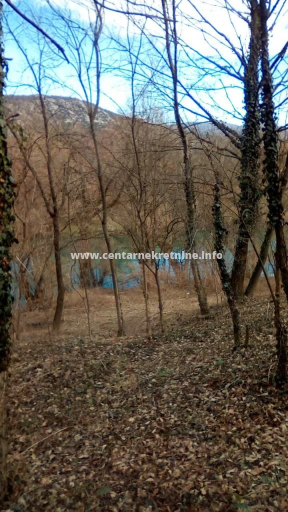 For sale, plot of land near river Zeta 4.700m2, Glavica, Danilovrad