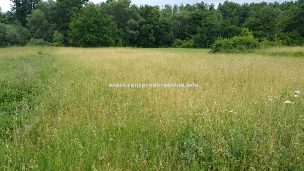 For sale, plot of land 9.000m2, Pazici, Danilovgrad