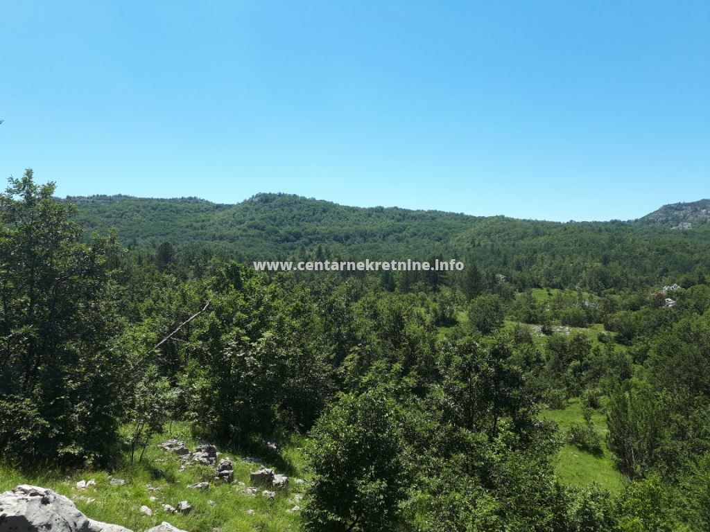 For sale, plot of land 136.000m2, Brijestovo, Danilovgrad