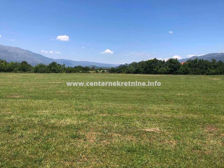 For sale, plot of land 16.200m2, Martinici, Danilovgrad