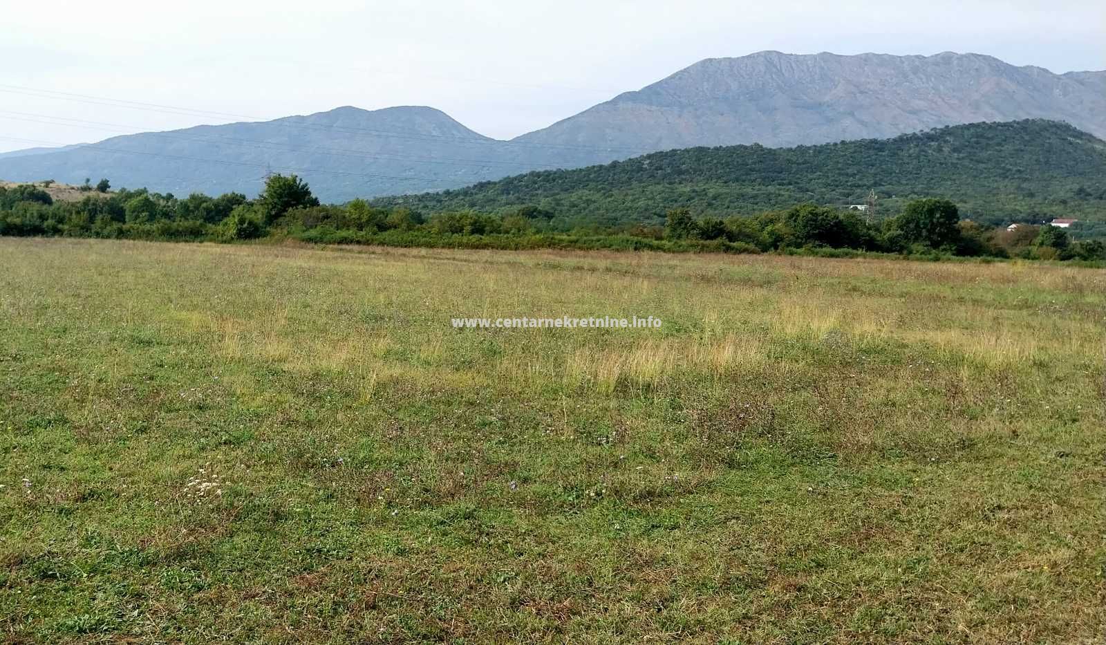 For sale, plot of land 3.536m2, Potkraj, Danilovgrad