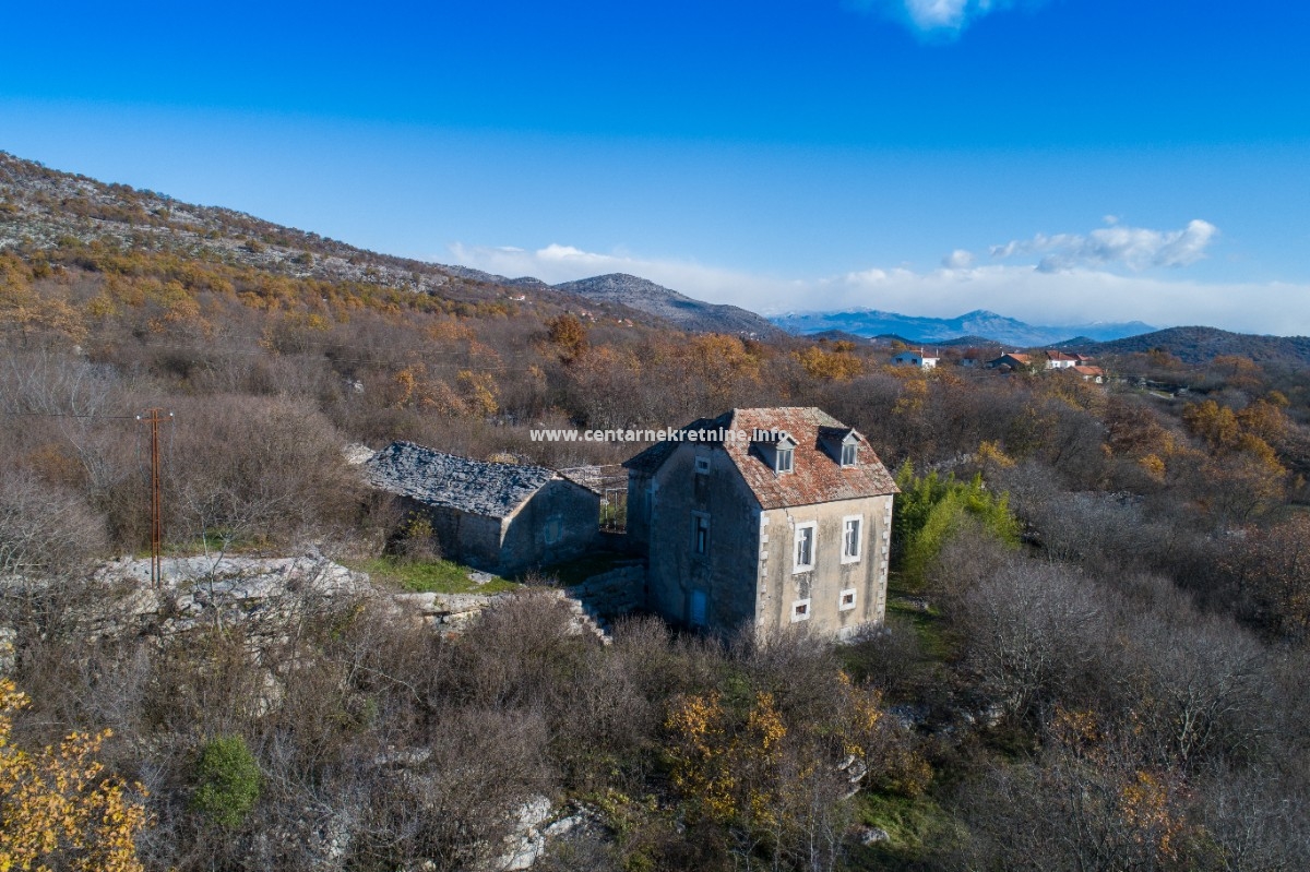 Prodaja, imanje sa kucom, 40.000m2, Brezine, Podgorica