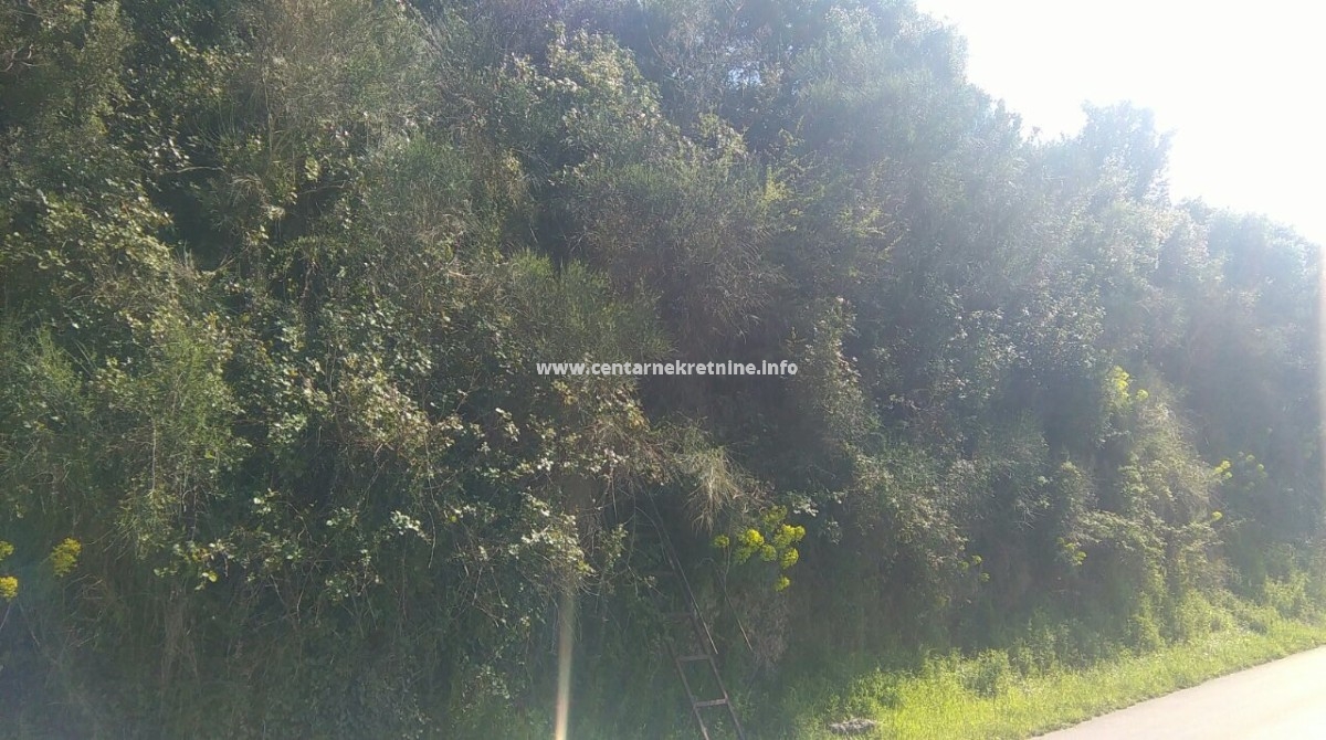 For sale, plot of land 449m2, Pinjes, Ulcinj