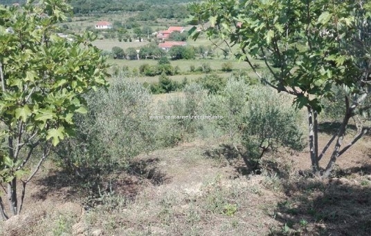 For sale, plot of land 4.274m2, Kodre, Ulcinj