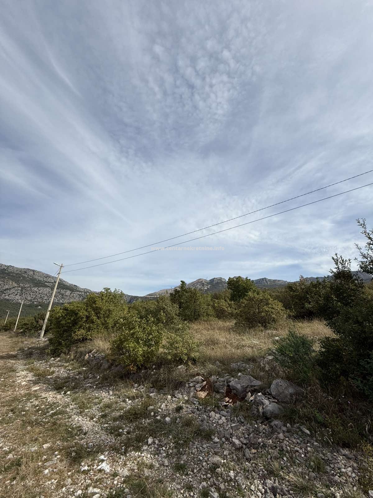 Prodaja, imanje 40.000m2, Kuci, Podgorica